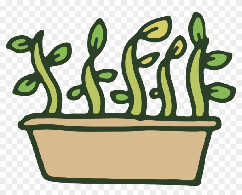 Image Library Mgv Propagati Master Program Mgvclipartplantpropagati - Plant Propagation Clipart #1442008