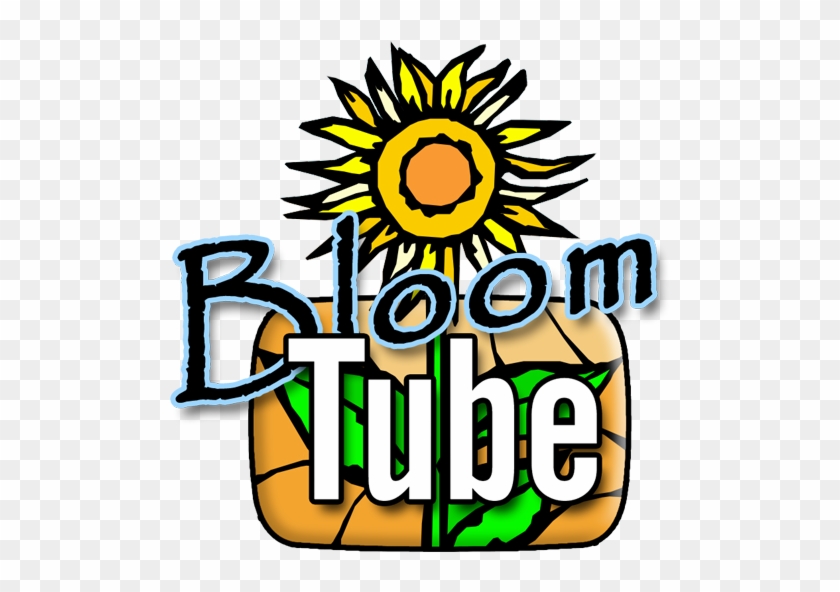 Bloom Tube 248 For Sunday February 9, - Bloom Tube 248 For Sunday February 9, #1442510