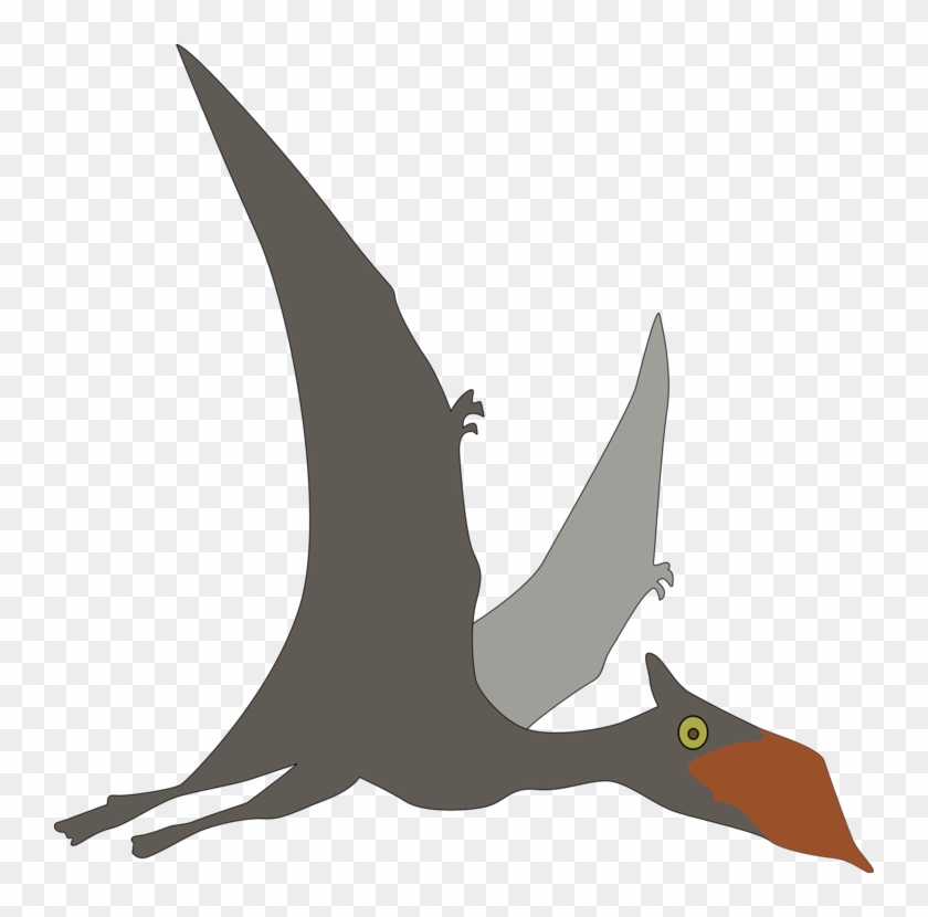 Pterosaurs Line Art Dinosaur Sinopterus Bird - Flying Dinosaurs Clipart #1443156