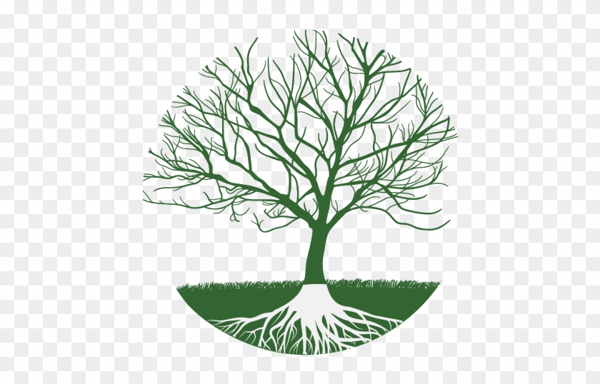 Download Family Tree Clipart Realistic Tree Without Leaves Free Transparent Png Clipart Images Download