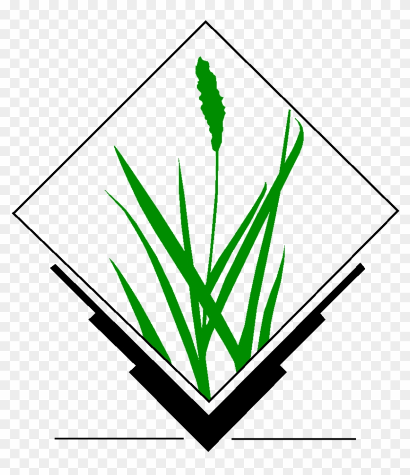 Spatial Analysis Faunalia Clipart - Grass Gis #1444734