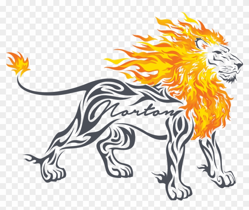 We Help Individuals And Organisations Reach Their Potential - Lion Fire Png Transparent #1445508