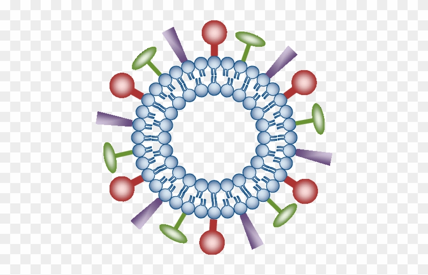 Of Virosome The Surface A Liposome Is - Viral Antigen #1447419