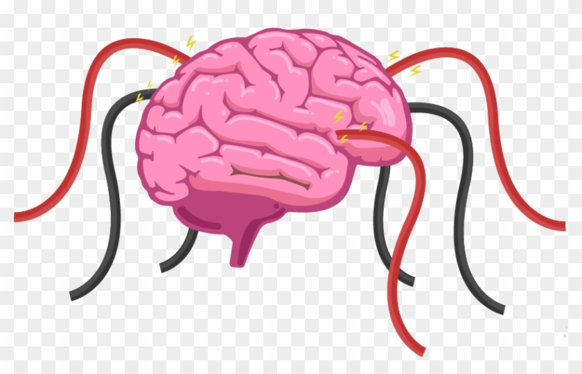 simple brain diagram