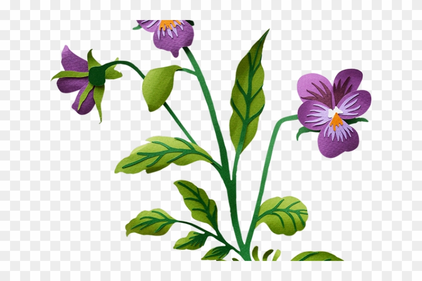 Pansy Clipart Transparent - Pansy Clipart Transparent #1451165