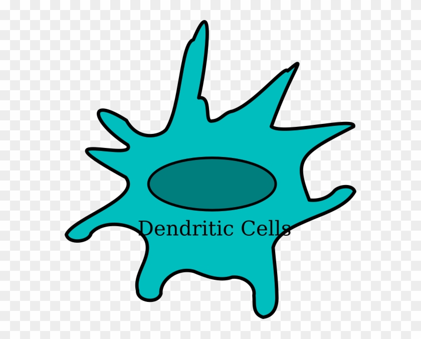 antigen clipart sun