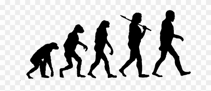 Evolution Clipart - Free Transparent PNG Clipart Images Download