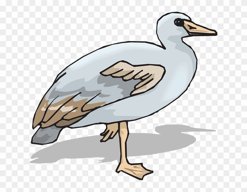 Animal Brown, Blue, Feet, Colors, Wings, Goose, Animal - Clip Art #229184