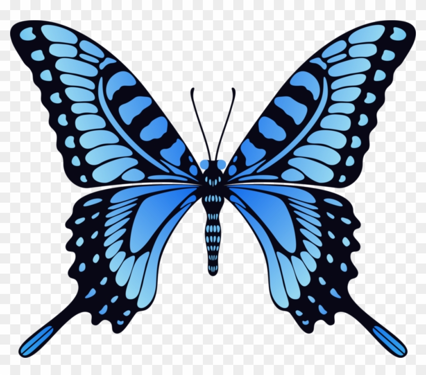 Free Free 118 Svg Butterfly Animation SVG PNG EPS DXF File