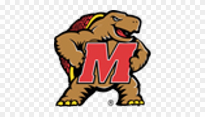 Tricia - Maryland Terrapins #1462838