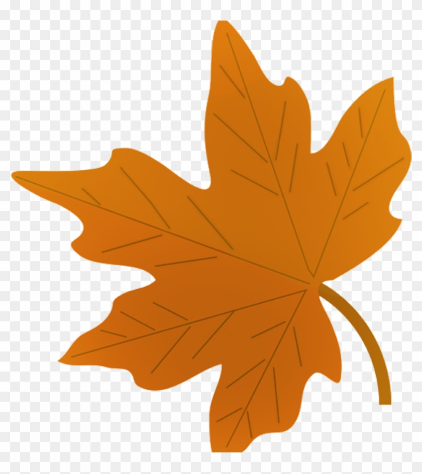 Fall Leaves Images Clip Art Fall Leaves Clip Art Beautiful - Give Examples Of Gravity #1463948