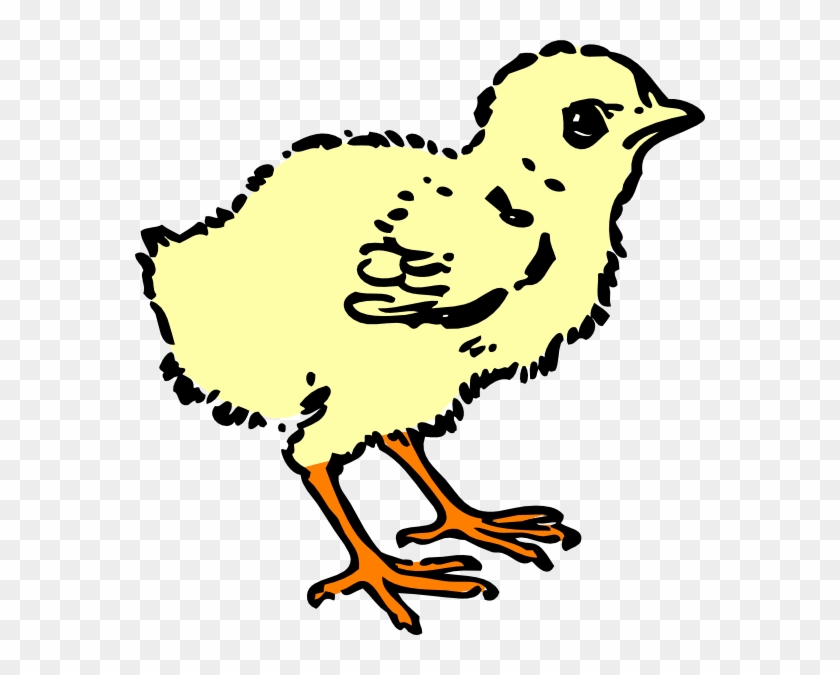 Chick Cartoon Black And White #1465569