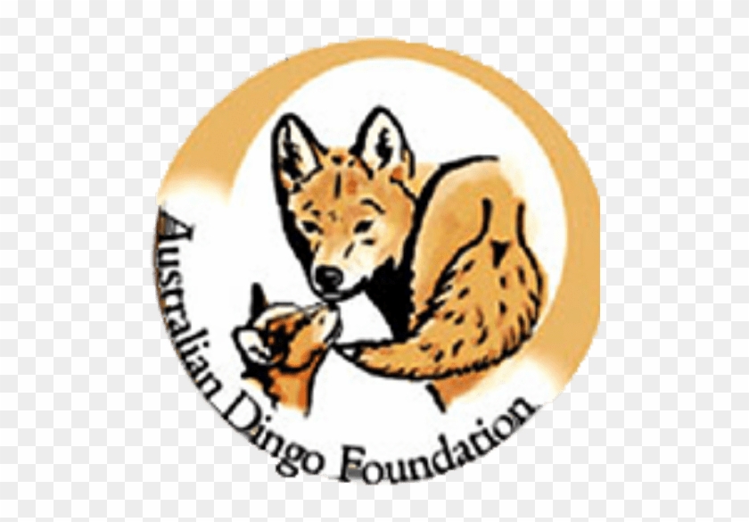 Dingo Foundation #1473345