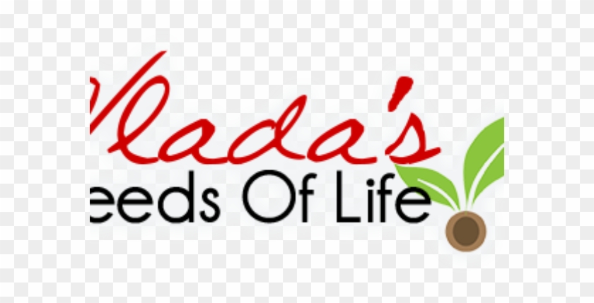 Vlada's Seeds Of Life Temecula's Best Kept Secret - Vlada's Seeds Of Life Temecula's Best Kept Secret #1477537