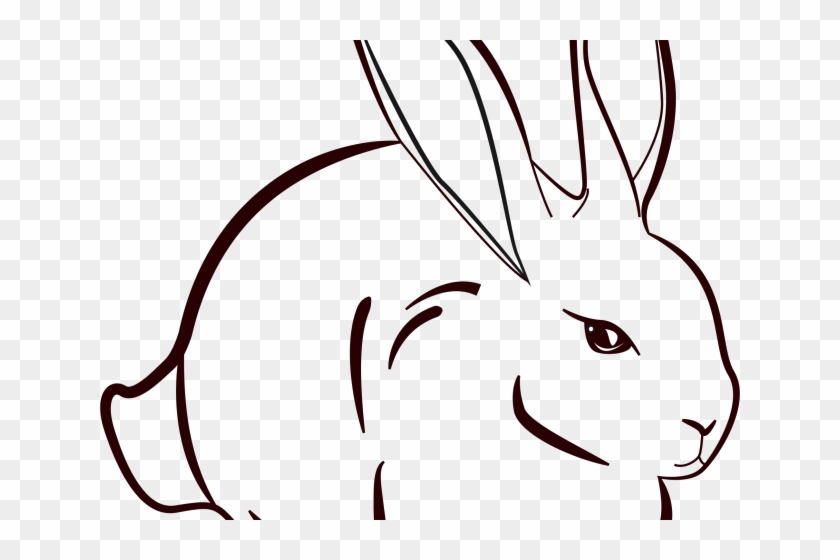 Drawn Bunny Khargosh - Drawn Bunny Khargosh - Free Transparent PNG ...