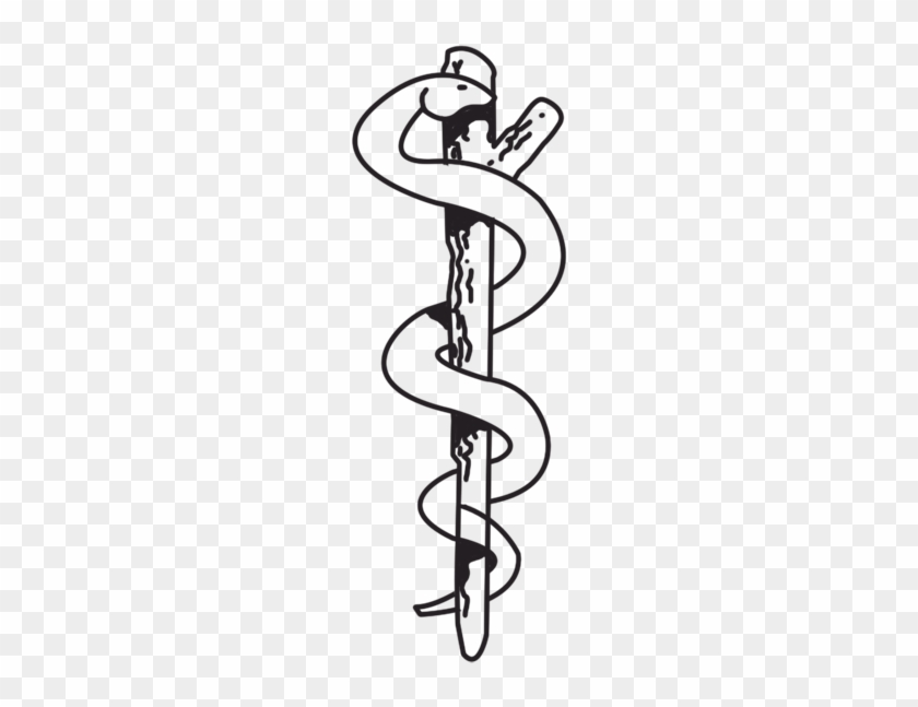 athenas snake symbol