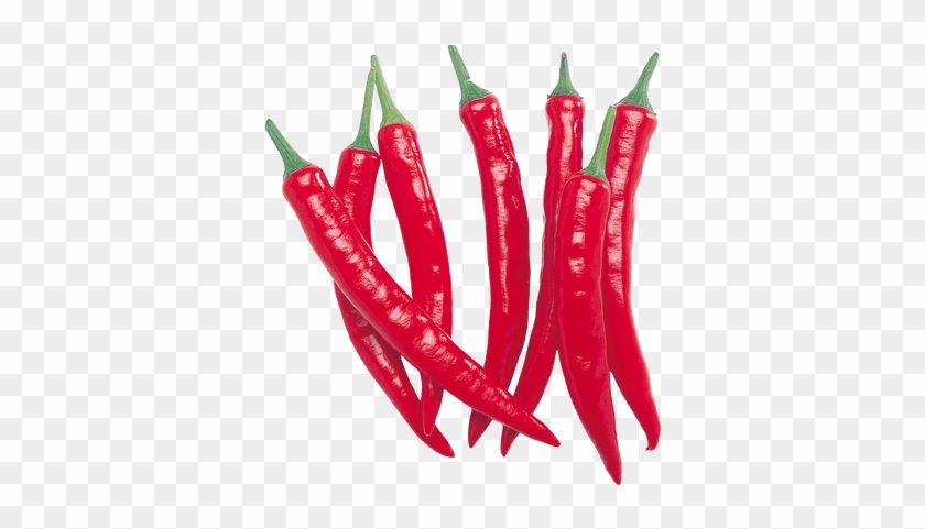 Peppers Transparent Png Images Stickpng - Peppers Transparent Png ...