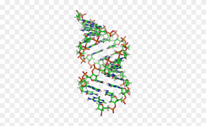 Ensuring Privacy For Genomics Data With K Disease Categories - Ensuring Privacy For Genomics Data With K Disease Categories #1504005