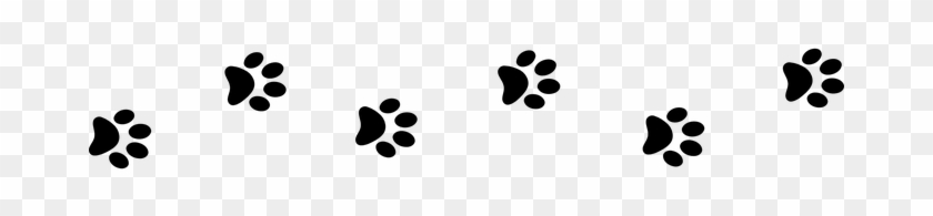 Black Less Paws Prints Hints Paws Paws Paw - Paws Png - Free ...