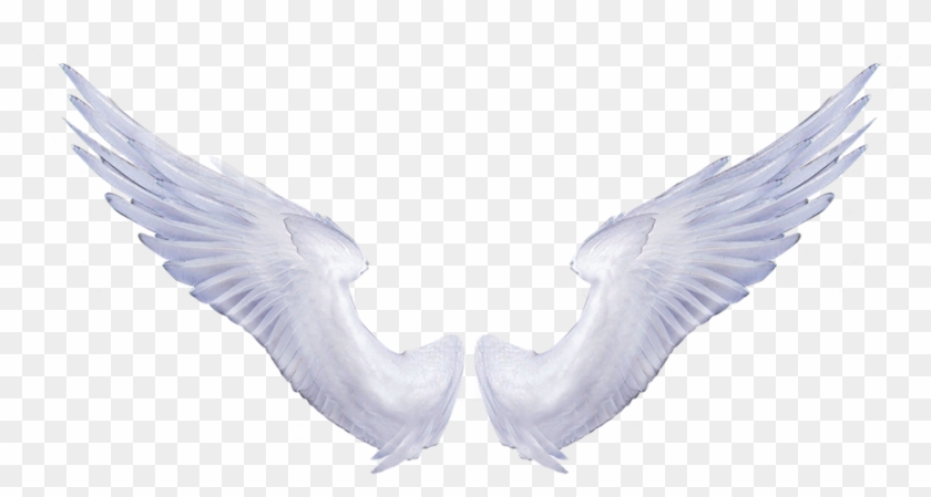 angel wings with cross clipart png