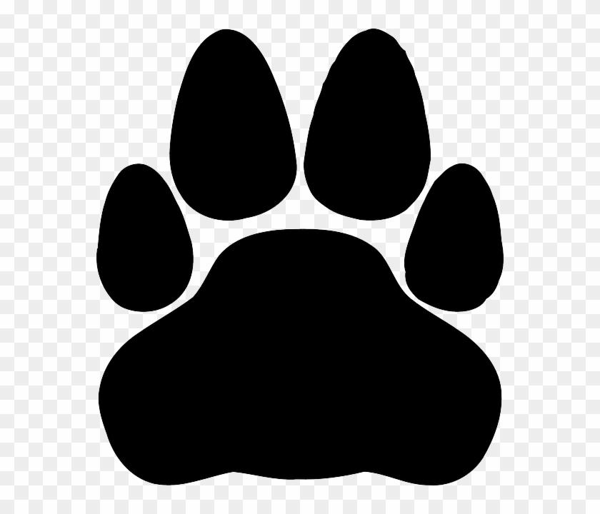 Animal Paw, Cat, Wolf, Bear, Footprint, Animal - Cat Footprint Png #236228