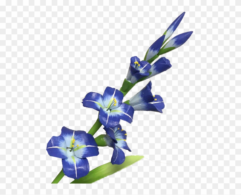 Clip Art Blue Gladiola - Clip Art Blue Gladiola #1510845