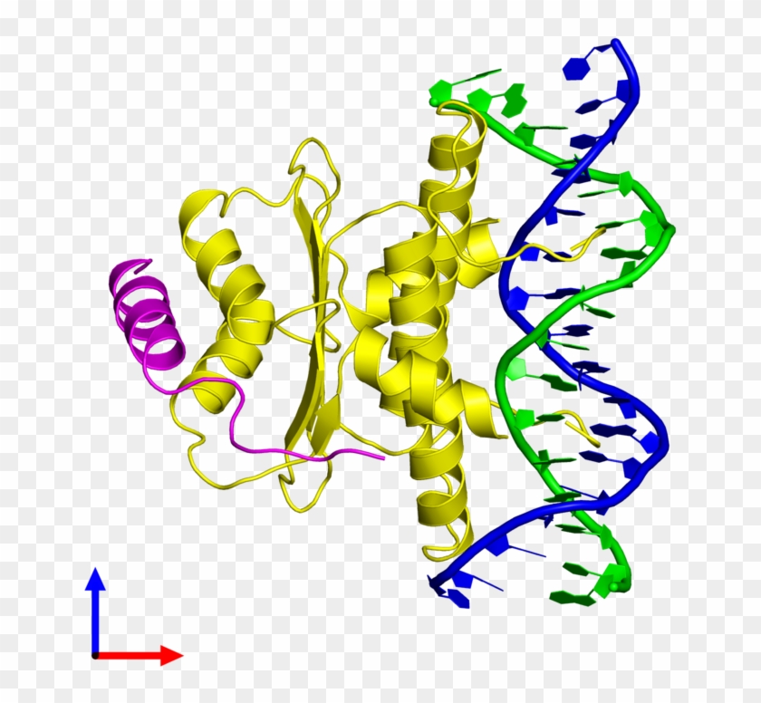 Pentameric Assembly 1 Of Pdb Entry 1tqe Coloured By - Pentameric Assembly 1 Of Pdb Entry 1tqe Coloured By #1513469