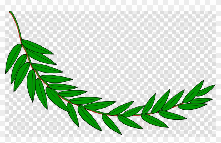 La Rama De Laurel Clipart Bay Laurel Laurel Wreath - La Rama De Laurel Clipart Bay Laurel Laurel Wreath #1516010