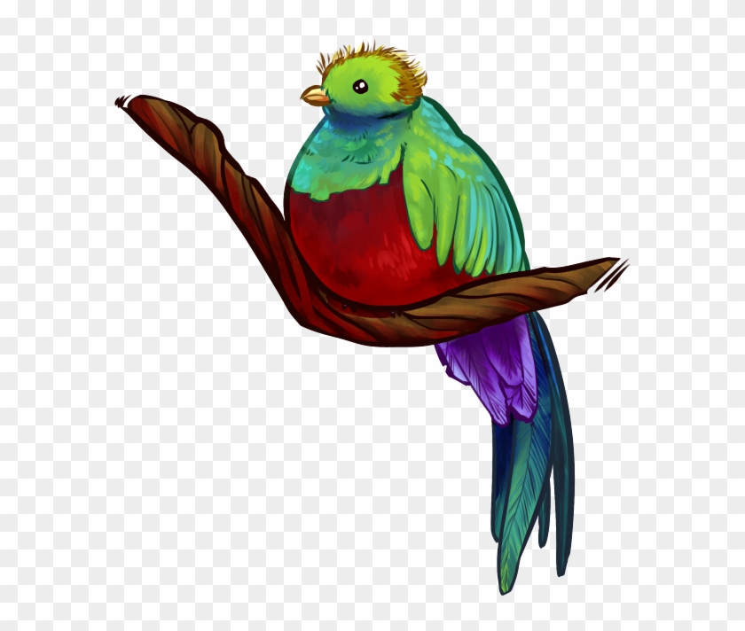 quetzal flying drawing