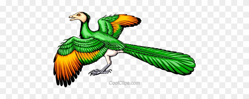 quetzal clipart transparent quetzal clipart transparent free transparent png clipart images download clipartmax