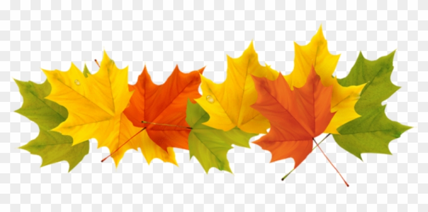 Download Transparent Fall Leaves Clipart Png Photo - Download Transparent Fall Leaves Clipart Png Photo #1524022