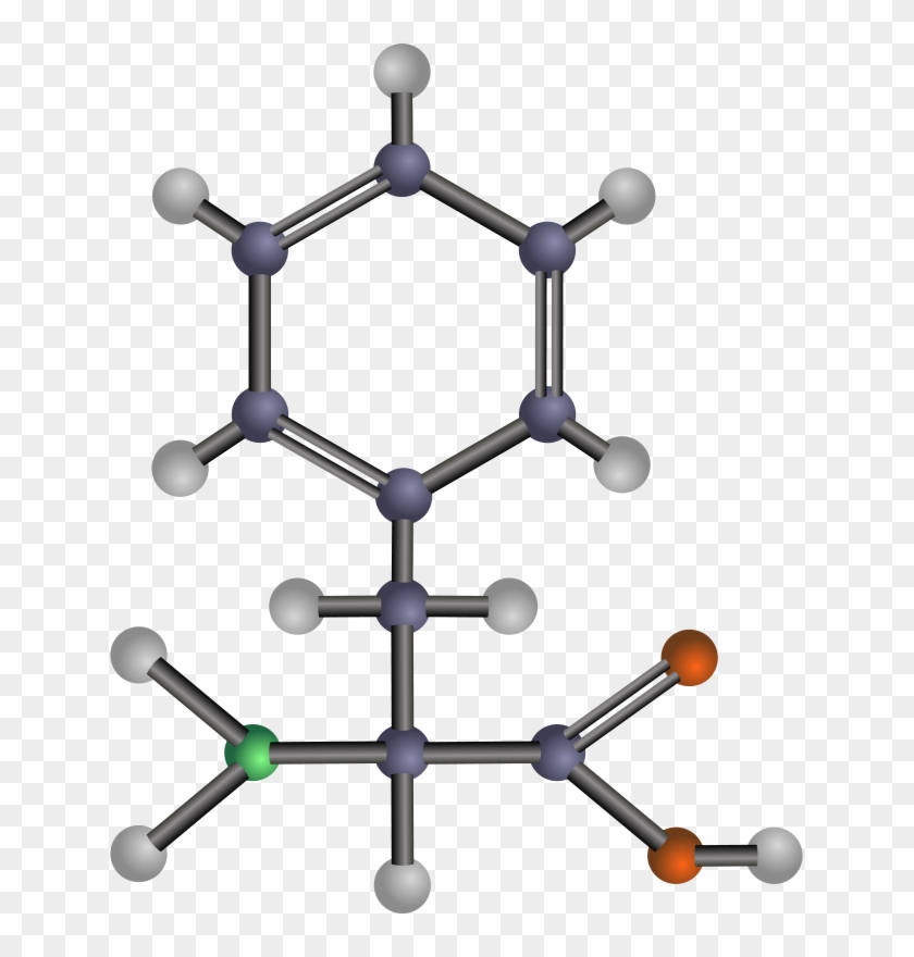 Free Phenylalanine - Free Phenylalanine #1528832