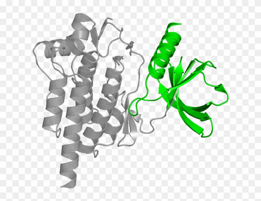 <div Class='caption-body'>1 Copy Of Cath Domain - <div Class='caption-body'>1 Copy Of Cath Domain #1529951