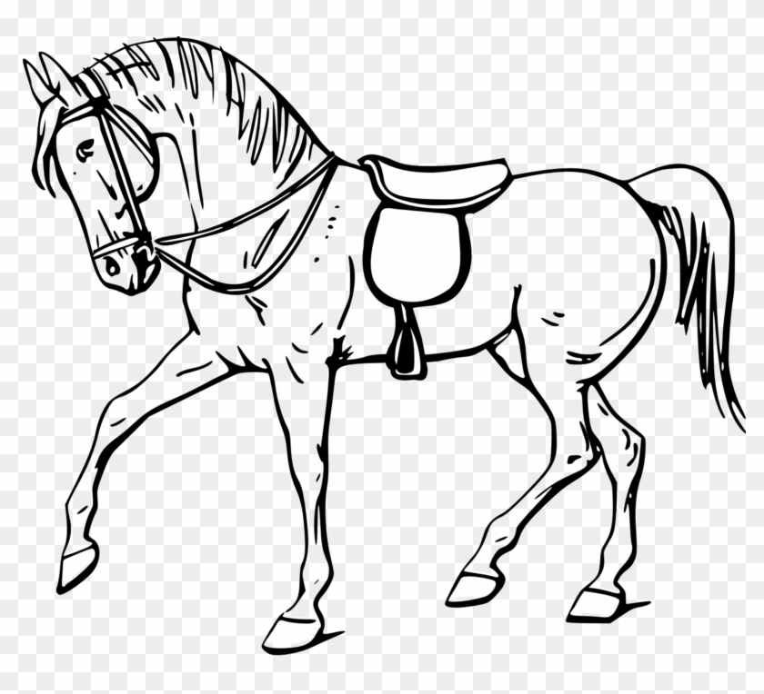 Horse Clipart Black And White - Outline Of A Horse #240969