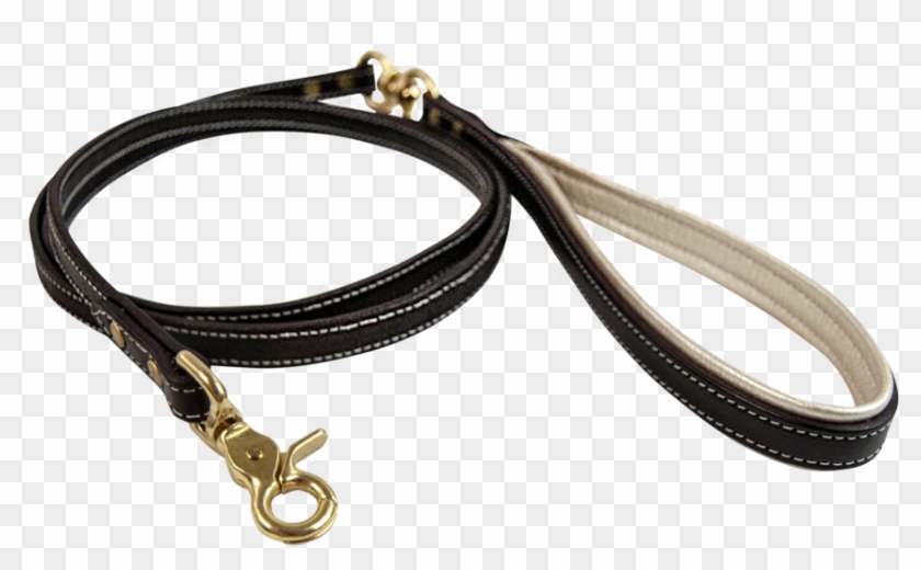 Dog Leash Png - Dog Leash Png #1531554