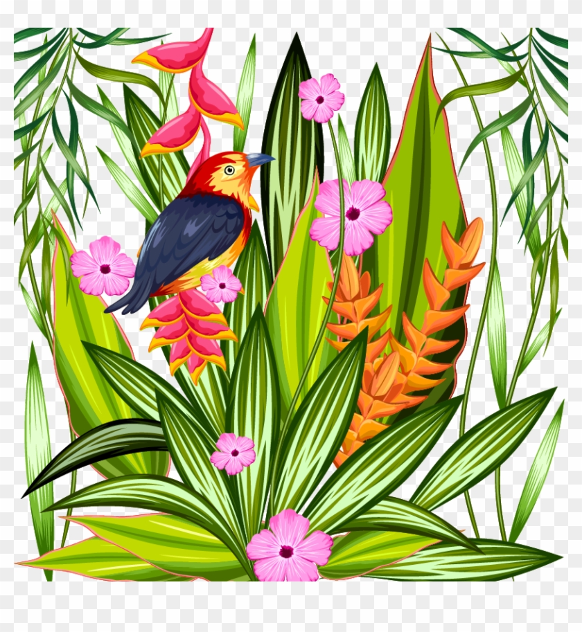 Parrot Tropics Tropical Illustration Material Transprent - Parrot Tropics Tropical Illustration Material Transprent #1532503