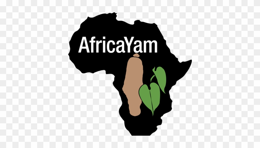 Africayam On Twitter - Africayam On Twitter #1538467