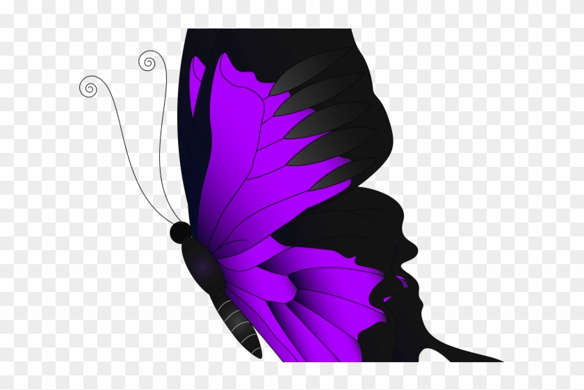 Feather Clipart Butterfly - Feather Clipart Butterfly #1539456