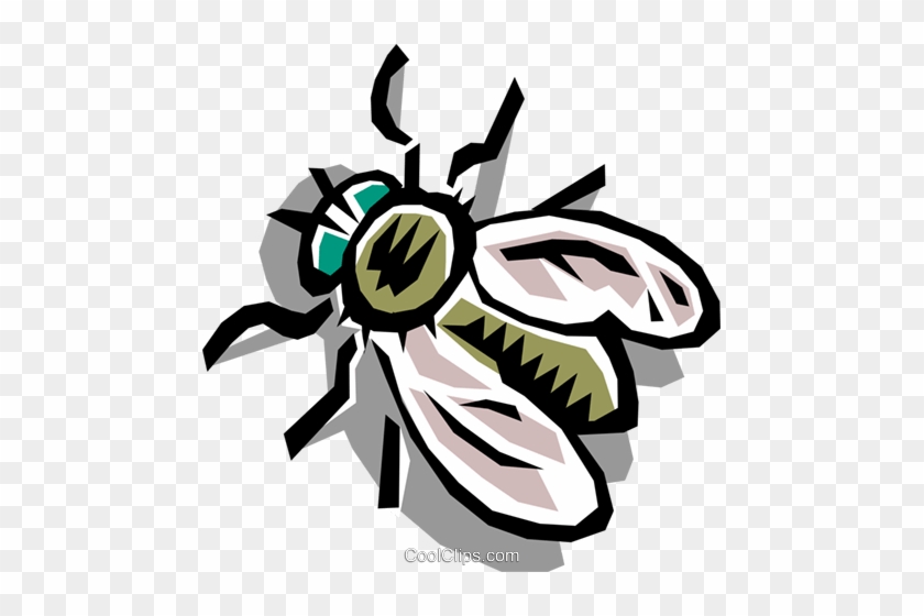 House Fly Royalty Free Vector Clip Art Illustration - House Fly Royalty Free Vector Clip Art Illustration #1544186