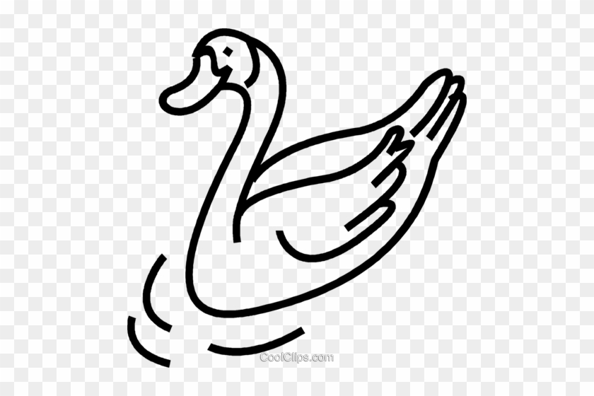 Swan Royalty Free Vector Clip Art Illustration - Swan Royalty Free Vector Clip Art Illustration #1546371