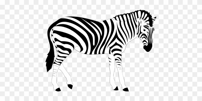 Zebra Lion Stripe Drawing Computer Icons - Zebra Lion Stripe Drawing Computer Icons #1550844