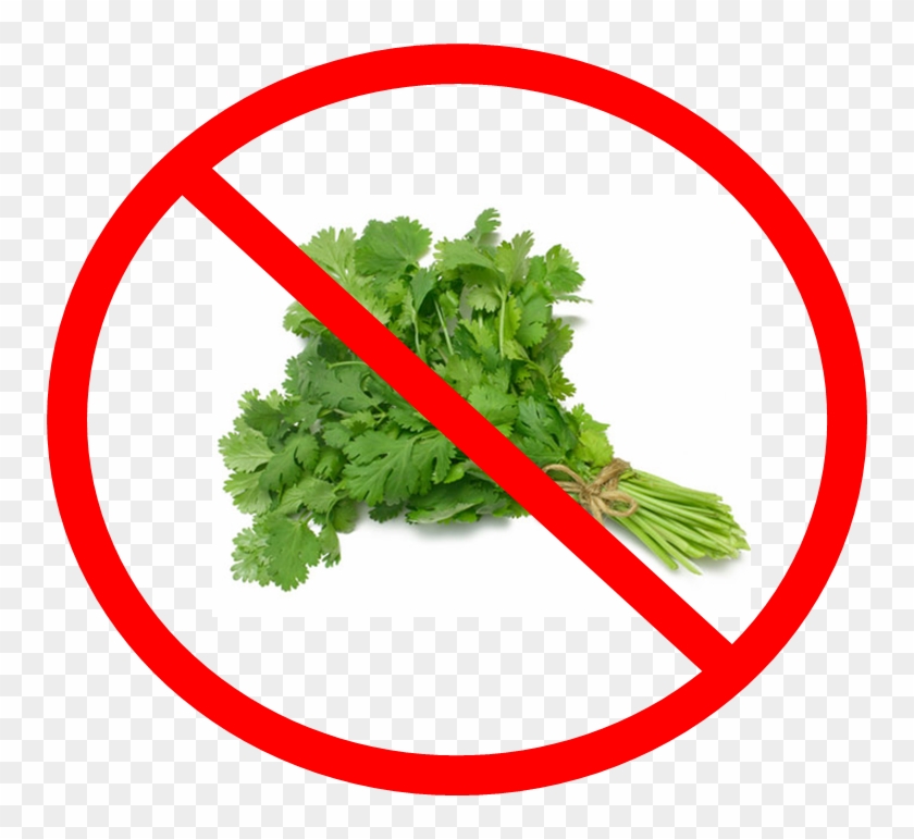 Say No To Cilantro - Say No To Cilantro #1554013