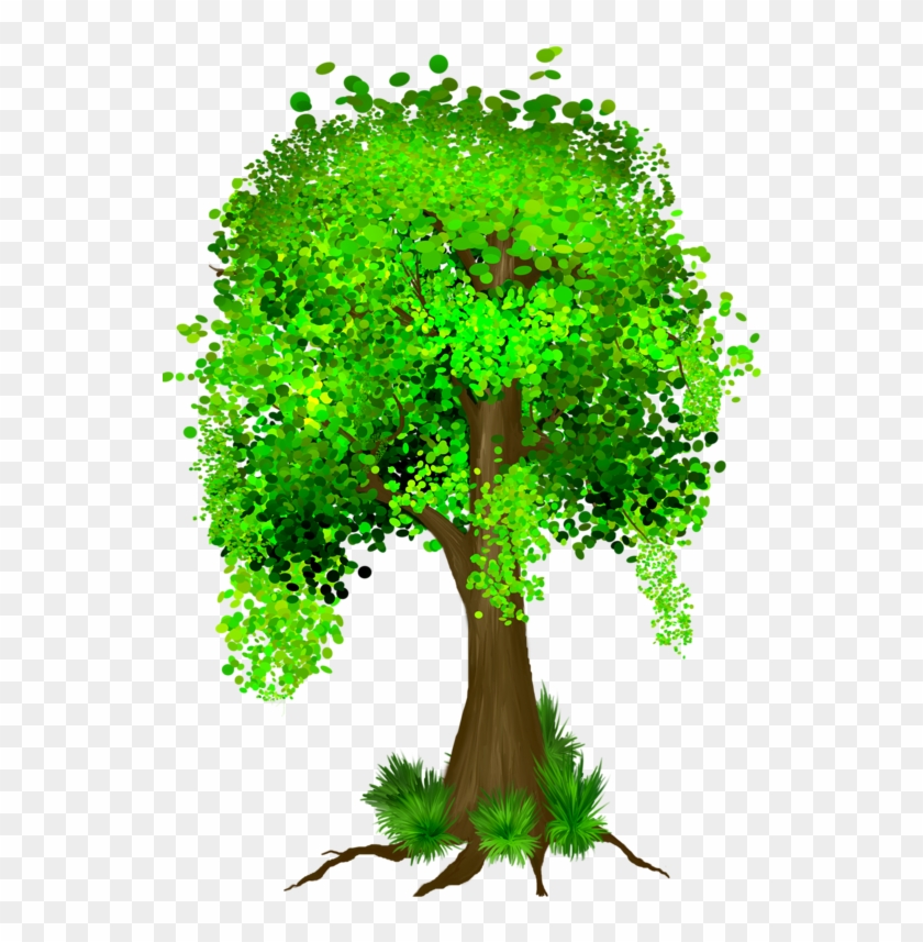 Tree, Tubes, Png - Full Money Tree Clipart #37895