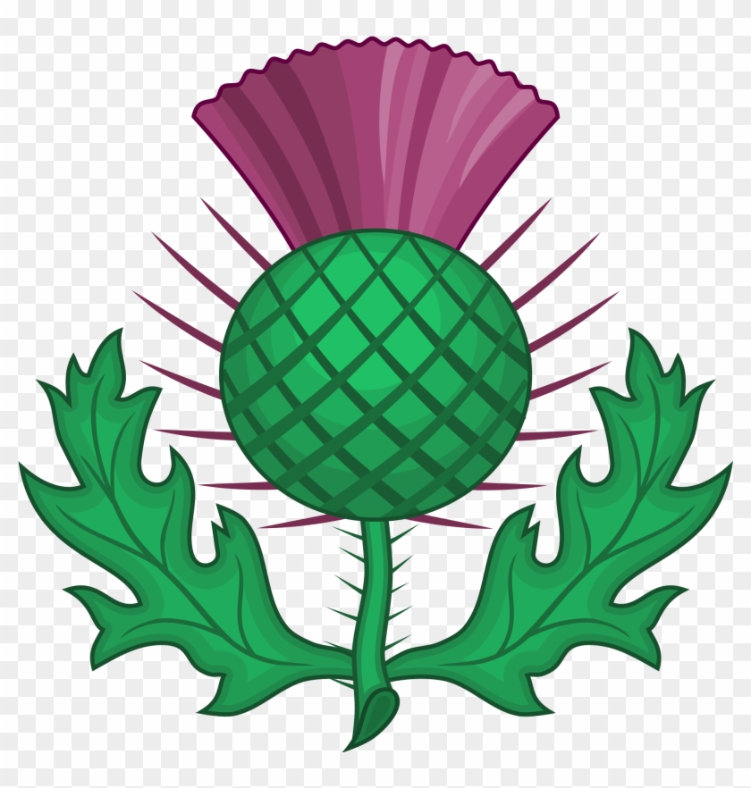 Scottish Thistle - National Symbol Of Scotland #38396