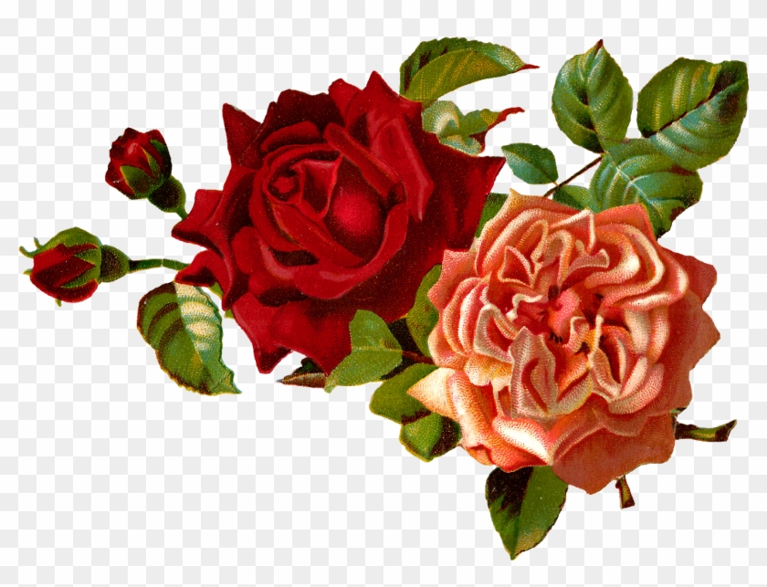 Stock Rose Clipart - Vintage Red Flower Png - Free Transparent PNG ...