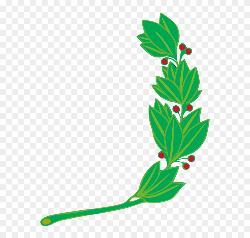 Branch, Laurel, Leaf, Leafy, Leaves - Peru Flag Symbol #42537