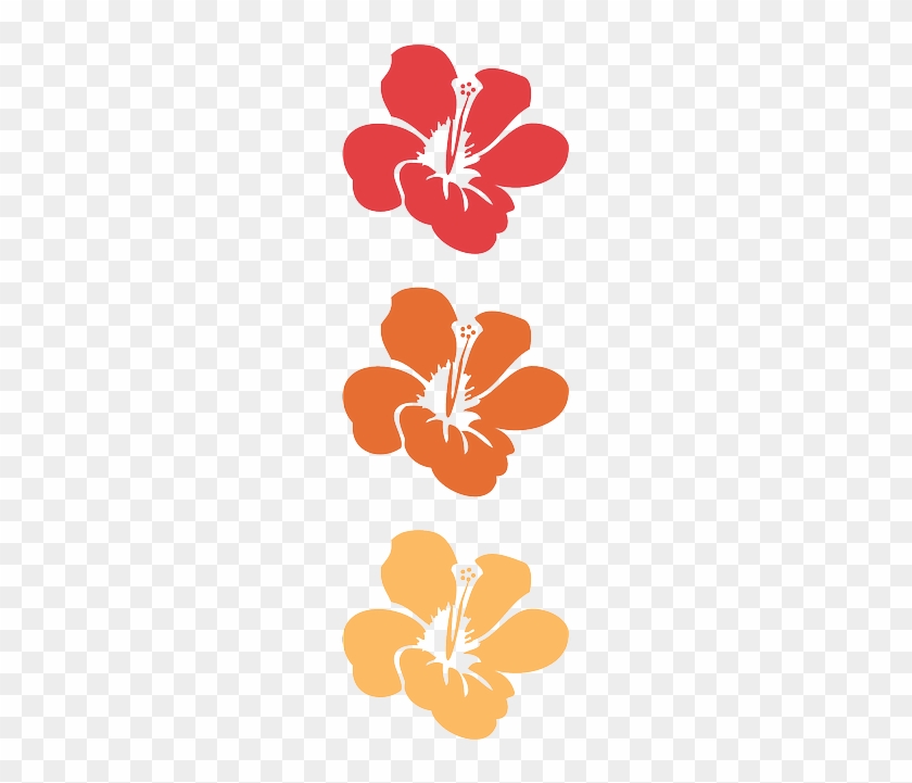 Flower, Flowers, Summer, Hawaii, Floral - 하와이 Png #242337