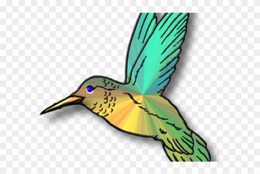 19 Hummingbird Clip Art Free Stock Huge Freebie Download - 19 Hummingbird Clip Art Free Stock Huge Freebie Download #1556604