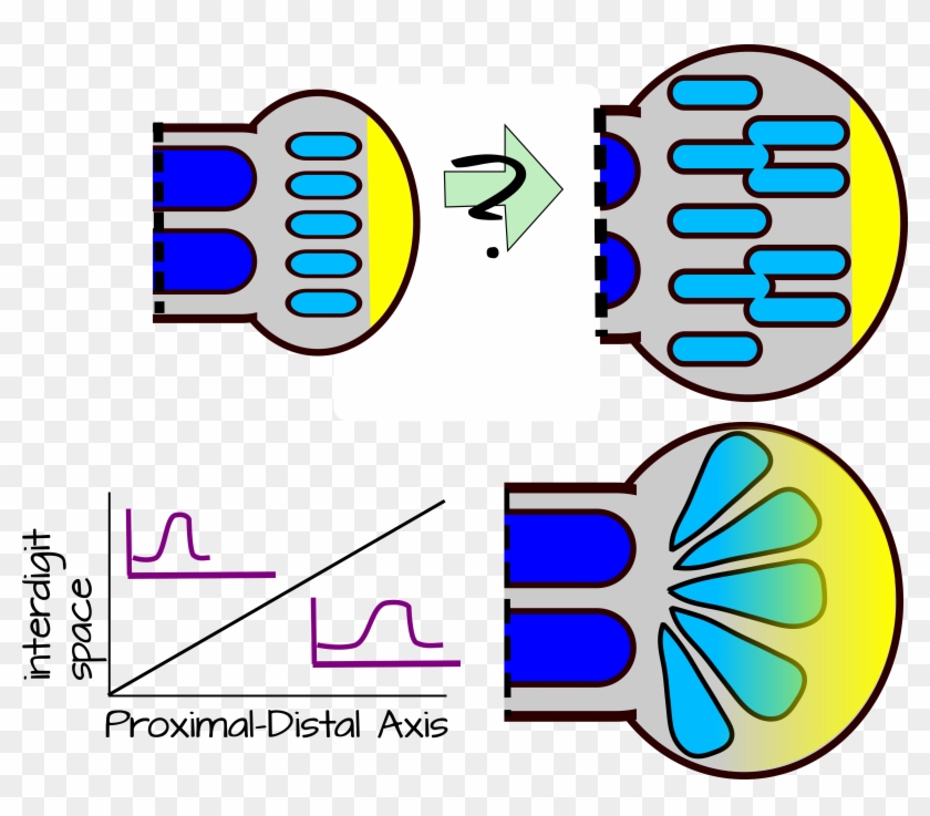 Modifying The Wavelength - Modifying The Wavelength #1557014