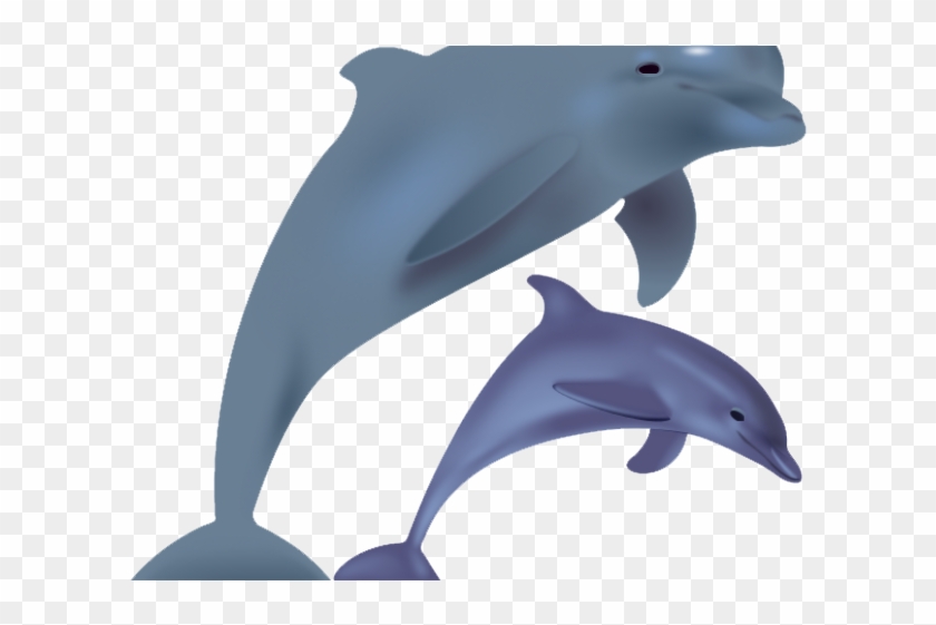 Spinner Dolphin Clipart Transparent Background - Spinner Dolphin Clipart Transparent Background #1557266